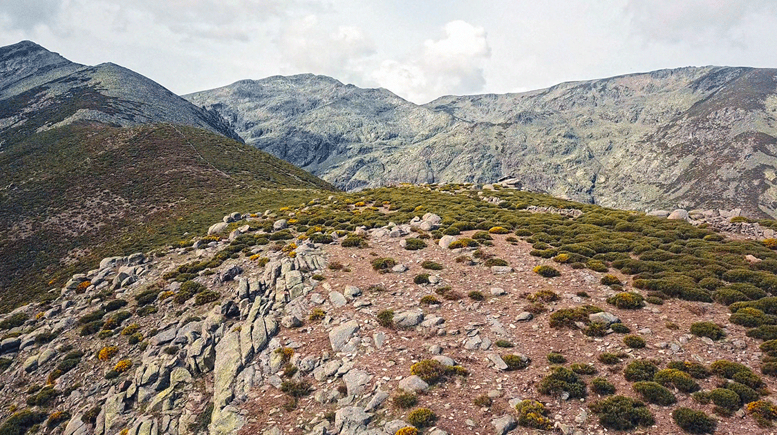 The Gredos Mountain Range and the Spanish Ibex