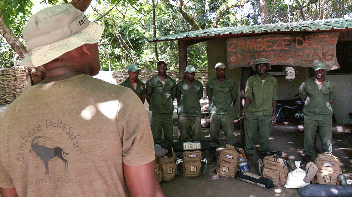 How to Start an Anti-poaching Program (5-minute Video)