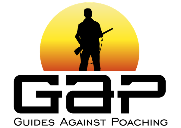 How Zimbabwean Guides are Helping to Conserve Wildlife and Wildlife Habitat