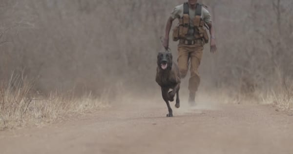 Anti-Poaching K-9s: Take Action Dog Unit