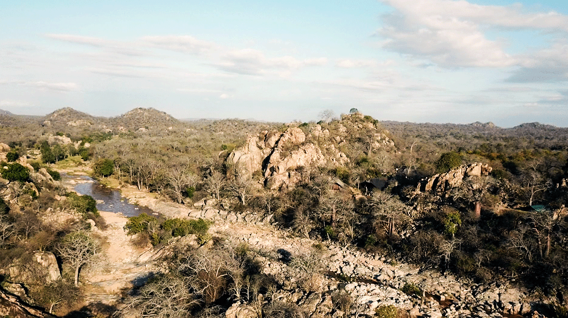 The Save Valley Conservancy Anti-poaching Operations