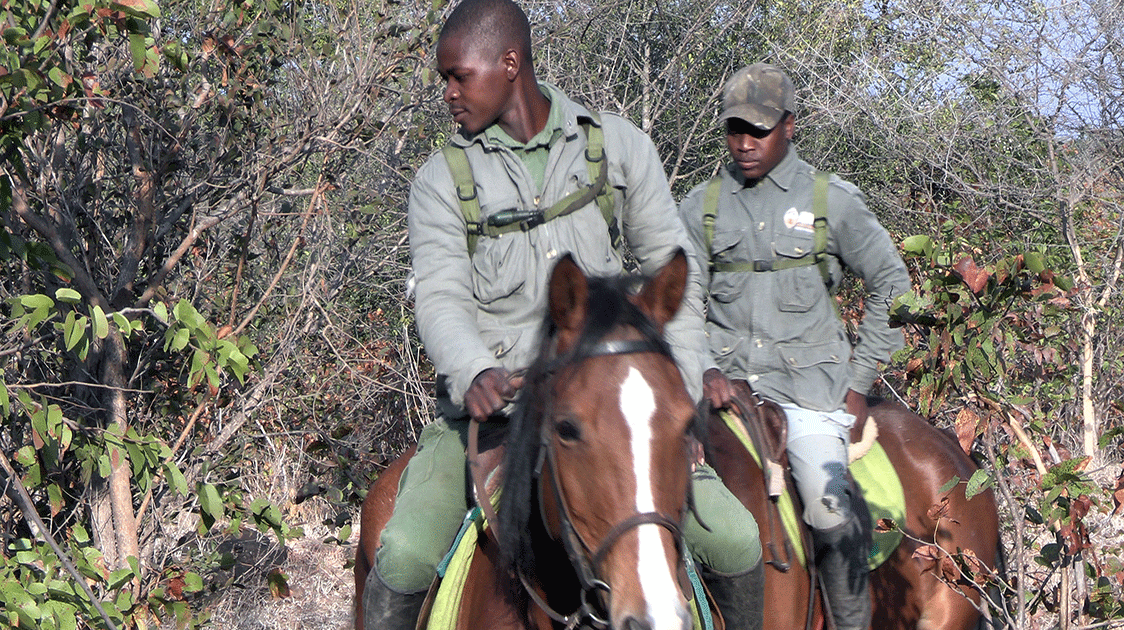 On Patrol with IMPI Horseback Unit (11-minute Video)