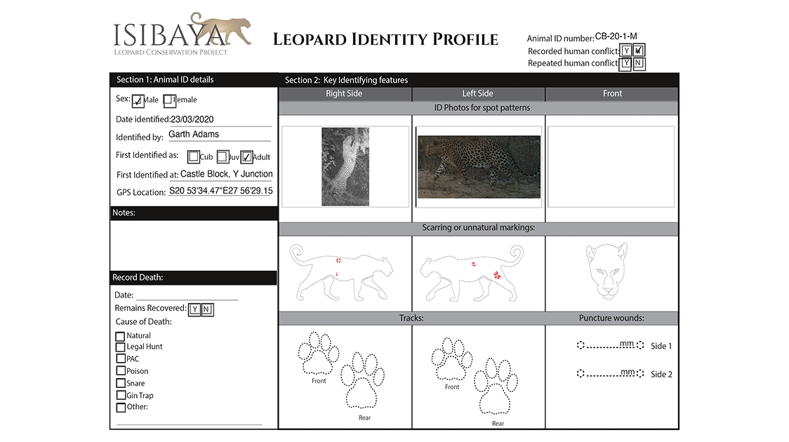 Camera Traps and Leopard Conservation