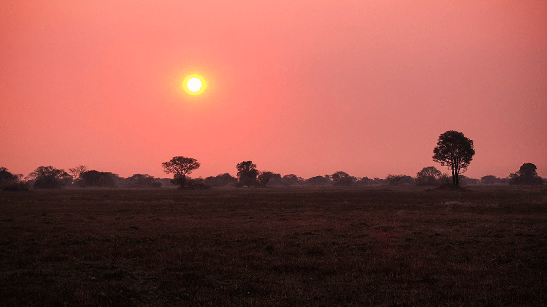 Rudimentary Tools of the Poachers’ Trade