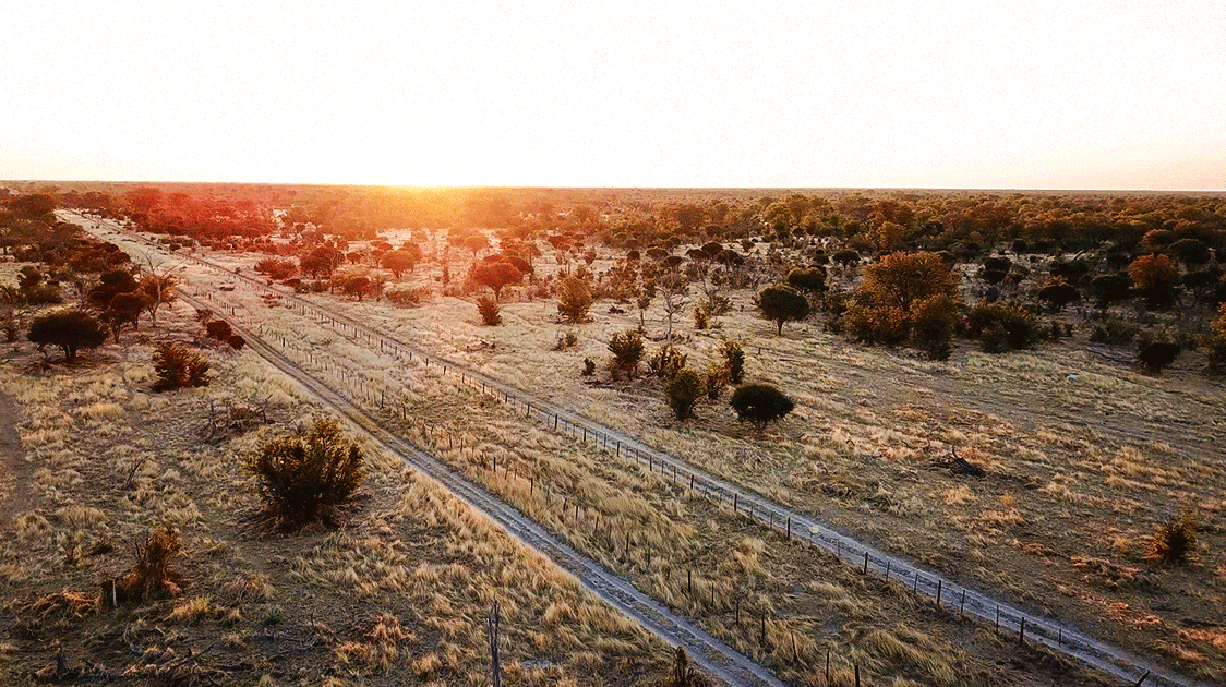 The Conundrum of Botswana's Buffalo Fence