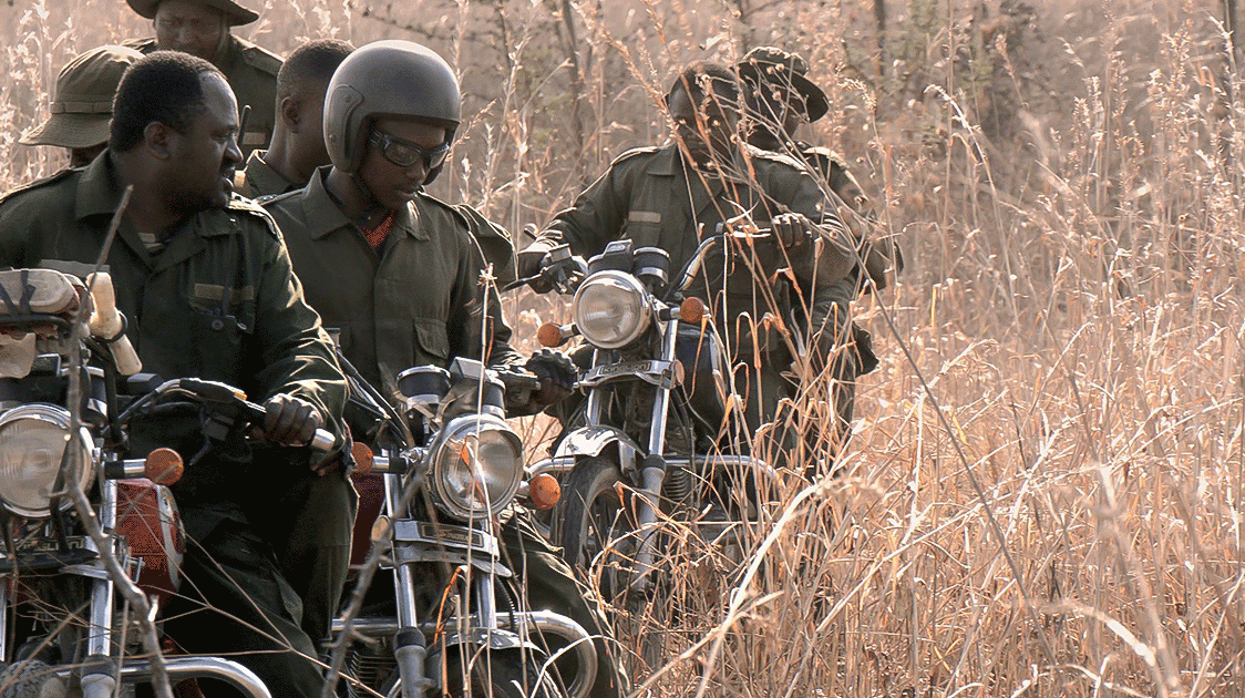 Kizigo Game Reserve: Joint Anti-poaching Tactics with TAWA