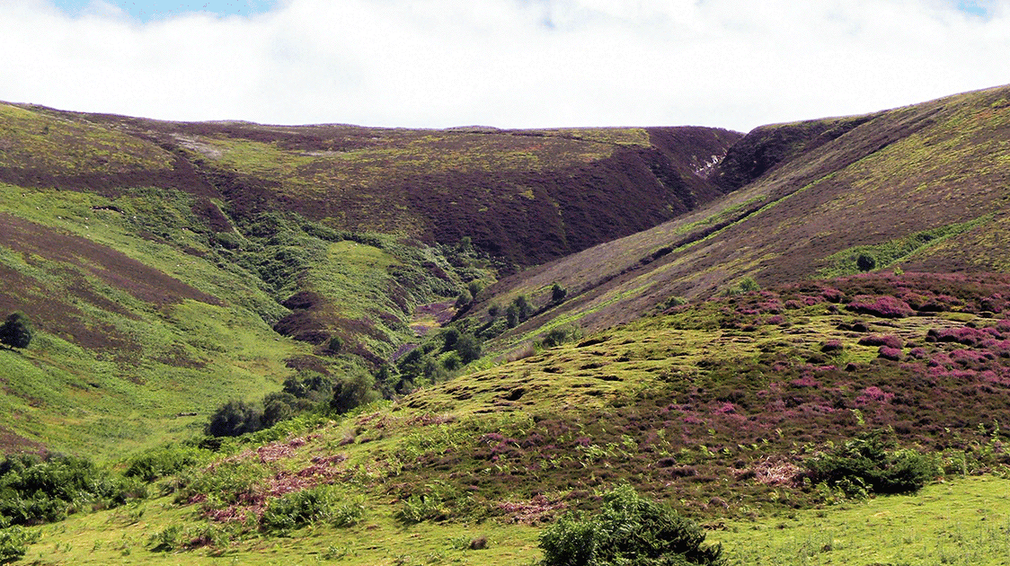 Managing the Restoration of Biodiversity: Scottish Hunting, Burning and Poaching Issues