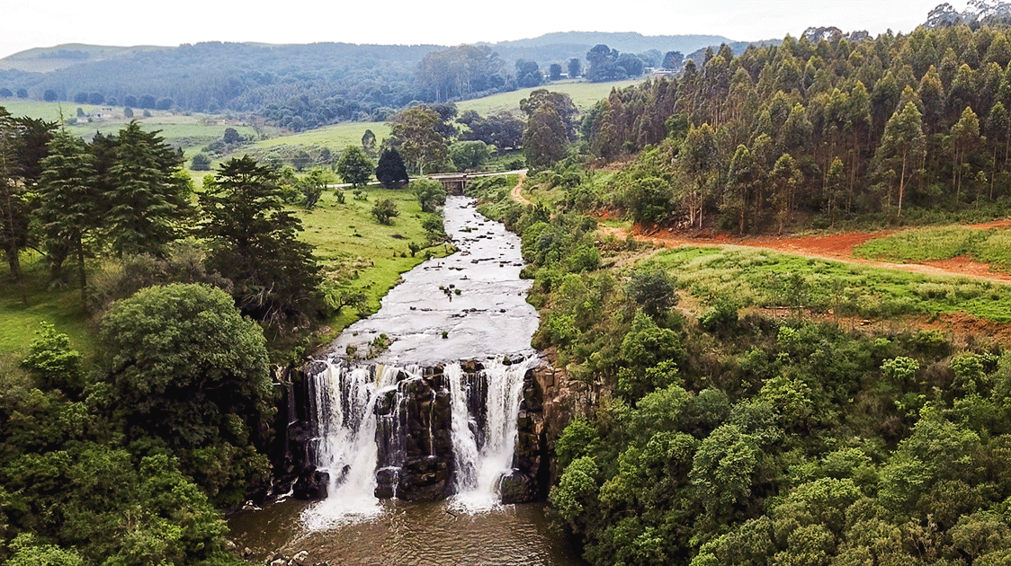 The Role of the State as Custodian of the Environment